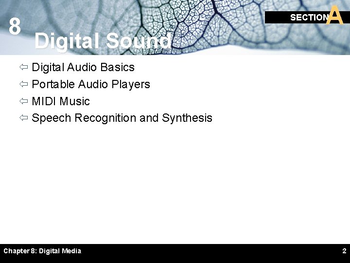 8 A SECTION Digital Sound ï Digital Audio Basics ï Portable Audio Players ï 8 A SECTION Digital Sound ï Digital Audio Basics ï Portable Audio Players ï