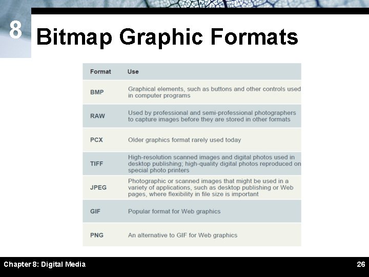 8 Bitmap Graphic Formats Chapter 8: Digital Media 26 8 Bitmap Graphic Formats Chapter 8: Digital Media 26
