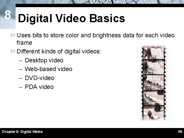 8 Digital Video Basics ï Uses bits to store color and brightness data for 8 Digital Video Basics ï Uses bits to store color and brightness data for