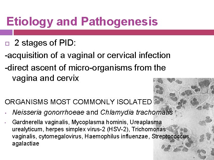 Etiology and Pathogenesis 2 stages of PID: -acquisition of a vaginal or cervical infection
