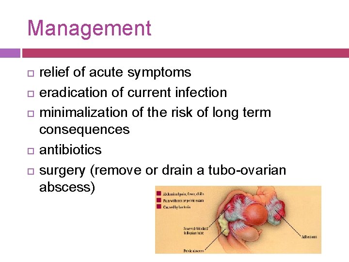 Management relief of acute symptoms eradication of current infection minimalization of the risk of