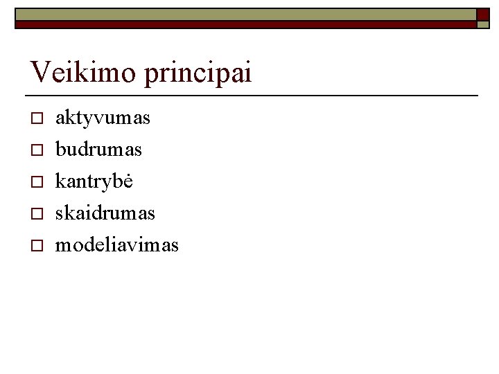 Veikimo principai o o o aktyvumas budrumas kantrybė skaidrumas modeliavimas 