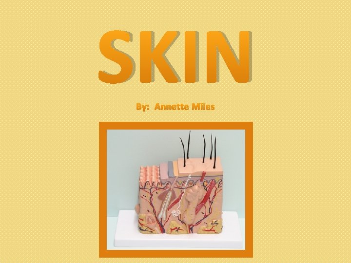 SKIN By: Annette Miles 