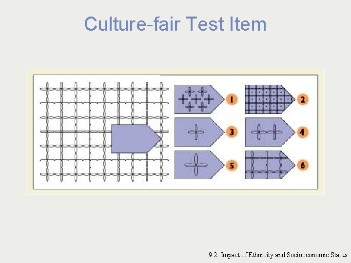 Culture-fair Test Item 9. 2: Impact of Ethnicity and Socioeconomic Status 