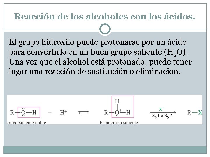 Reacción de los alcoholes con los ácidos. El grupo hidroxilo puede protonarse por un