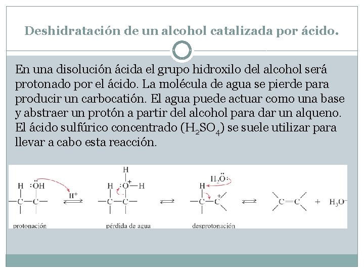 Deshidratación de un alcohol catalizada por ácido. En una disolución ácida el grupo hidroxilo