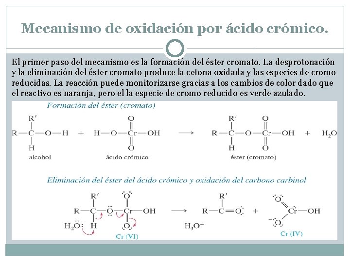 Mecanismo de oxidación por ácido crómico. El primer paso del mecanismo es la formación