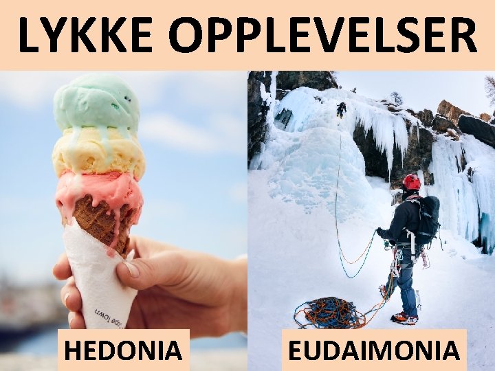 LYKKE OPPLEVELSER HEDONIA EUDAIMONIA 