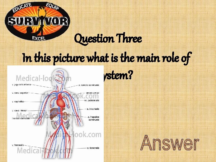 Question Three In this picture what is the main role of this system? Question Three In this picture what is the main role of this system?