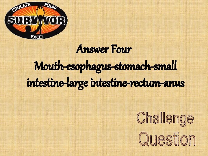 Answer Four Mouth-esophagus-stomach-small intestine-large intestine-rectum-anus Answer Four Mouth-esophagus-stomach-small intestine-large intestine-rectum-anus