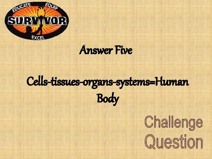 Answer Five Cells-tissues-organs-systems=Human Body Answer Five Cells-tissues-organs-systems=Human Body