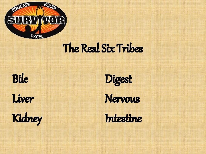 The Real Six Tribes Bile Liver Kidney Digest Nervous Intestine The Real Six Tribes Bile Liver Kidney Digest Nervous Intestine