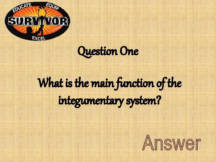 Question One What is the main function of the integumentary system? Question One What is the main function of the integumentary system?