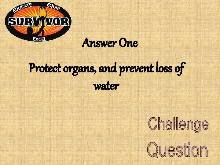 Answer One Protect organs, and prevent loss of water Answer One Protect organs, and prevent loss of water