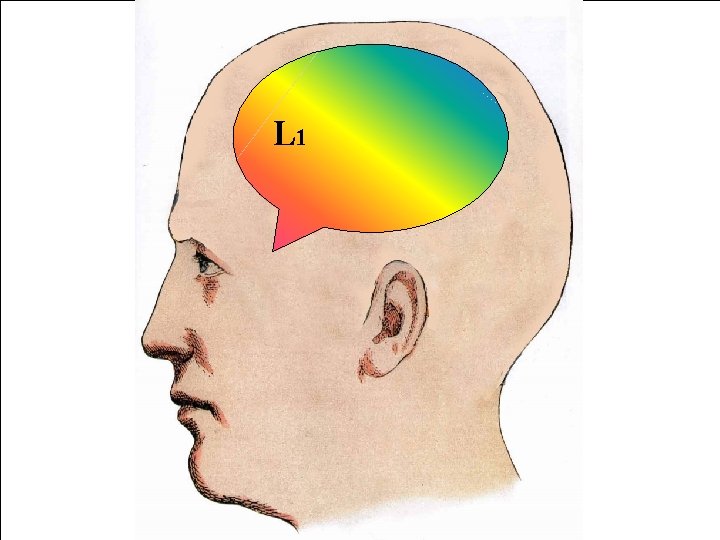 L 1 L 1