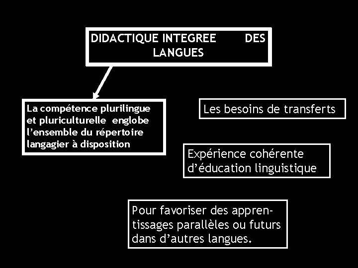 DIDACTIQUE INTEGREE DES DIDACTIQUE / DIDACTIQUES INTERFERENCE ERREUR INTERLANGUES DES LANGUES La compétence plurilingue DIDACTIQUE INTEGREE DES DIDACTIQUE / DIDACTIQUES INTERFERENCE ERREUR INTERLANGUES DES LANGUES La compétence plurilingue