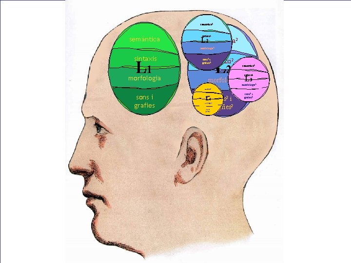semàntica 2 semàntica sintaxi 2 2 L L L 12111 semàntica morfologia 2 sintaxis semàntica 2 semàntica sintaxi 2 2 L L L 12111 semàntica morfologia 2 sintaxis