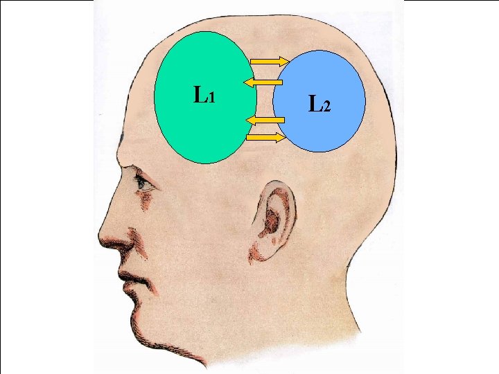 L L 111 L 22 L L 111 L 22