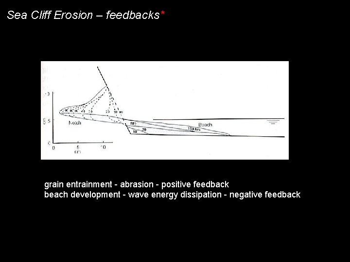 Sea Cliff Erosion – feedbacks* grain entrainment - abrasion - positive feedback beach development Sea Cliff Erosion – feedbacks* grain entrainment - abrasion - positive feedback beach development