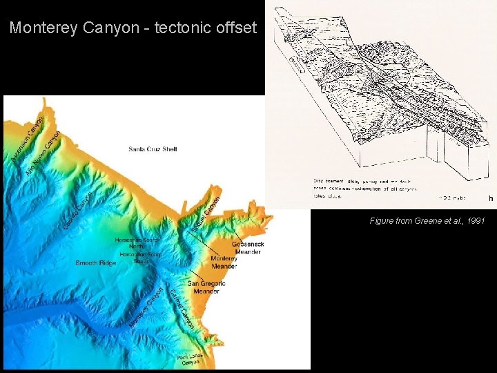 Monterey Canyon - tectonic offset Figure from Greene et al. , 1991 Monterey Canyon - tectonic offset Figure from Greene et al. , 1991
