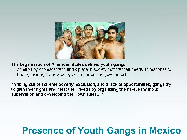 The Organization of American States defines youth gangs: • an effort by adolescents to