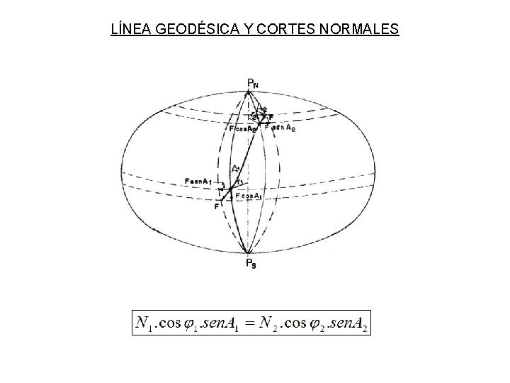 LÍNEA GEODÉSICA Y CORTES NORMALES LÍNEA GEODÉSICA Y CORTES NORMALES
