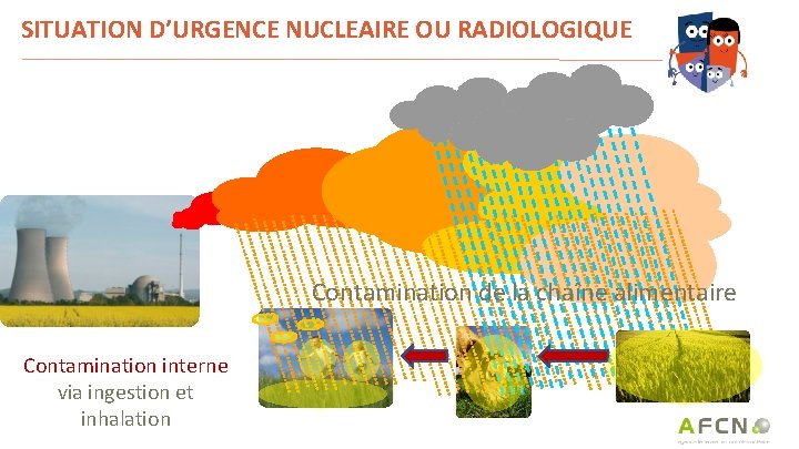 SITUATION D’URGENCE NUCLEAIRE OU RADIOLOGIQUE Contamination de la chaîne alimentaire Contamination interne via ingestion