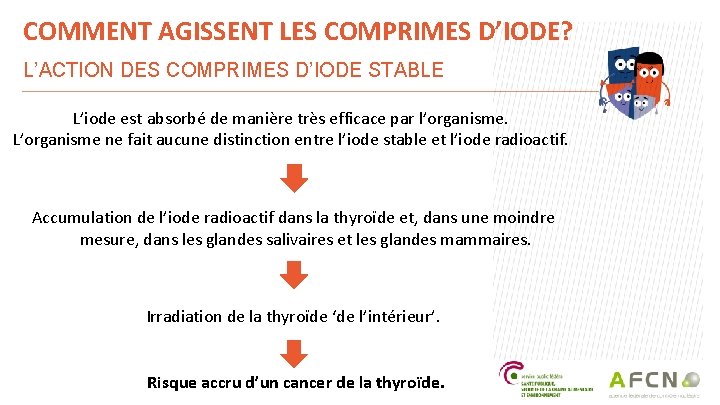 COMMENT AGISSENT LES COMPRIMES D’IODE? L’ACTION DES COMPRIMES D’IODE STABLE L’iode est absorbé de