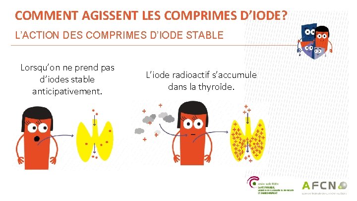 COMMENT AGISSENT LES COMPRIMES D’IODE? L’ACTION DES COMPRIMES D’IODE STABLE Lorsqu’on ne prend pas