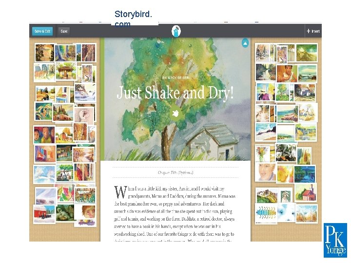 Storybird. com 