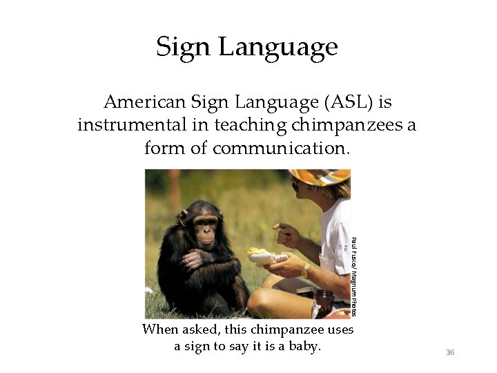 Sign Language American Sign Language (ASL) is instrumental in teaching chimpanzees a form of