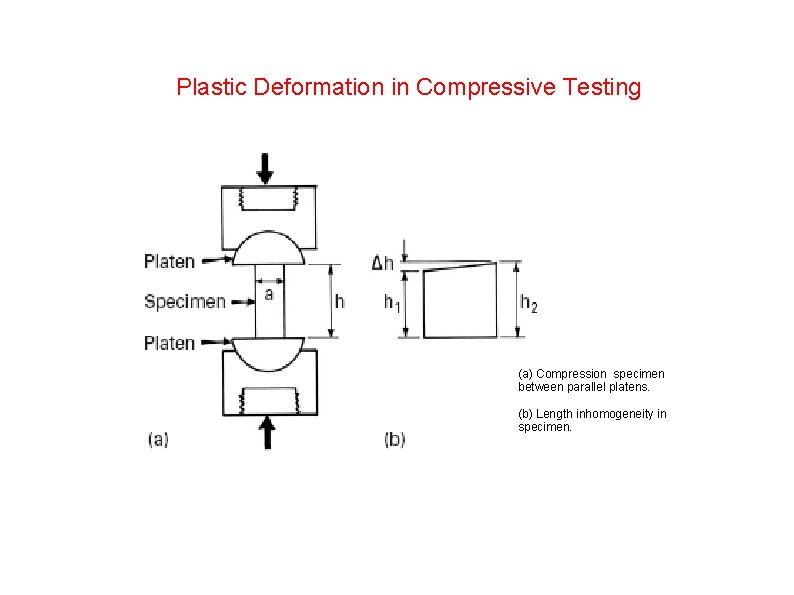 Plastic Deformation in Compressive Testing (a) Compression specimen between parallel platens. (b) Length inhomogeneity