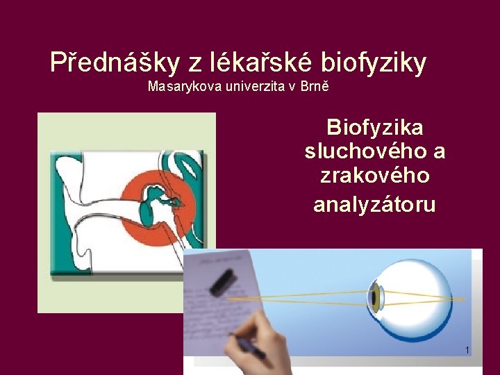 Přednášky z lékařské biofyziky Masarykova univerzita v Brně Biofyzika sluchového a zrakového analyzátoru 1