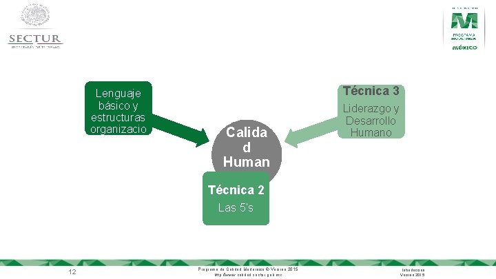 Técnica 1 Lenguaje básico y estructuras organizacio nales Técnica 3 Calida d Human a