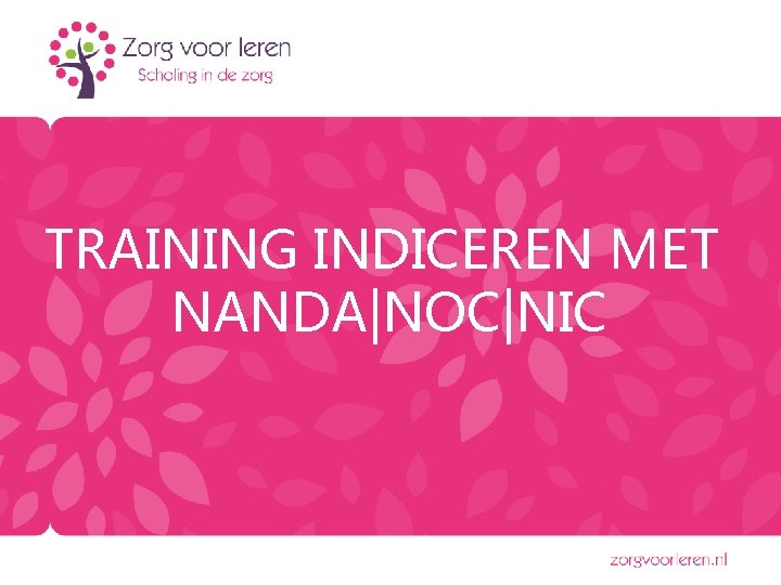 TRAINING INDICEREN MET NANDA|NOC|NIC 