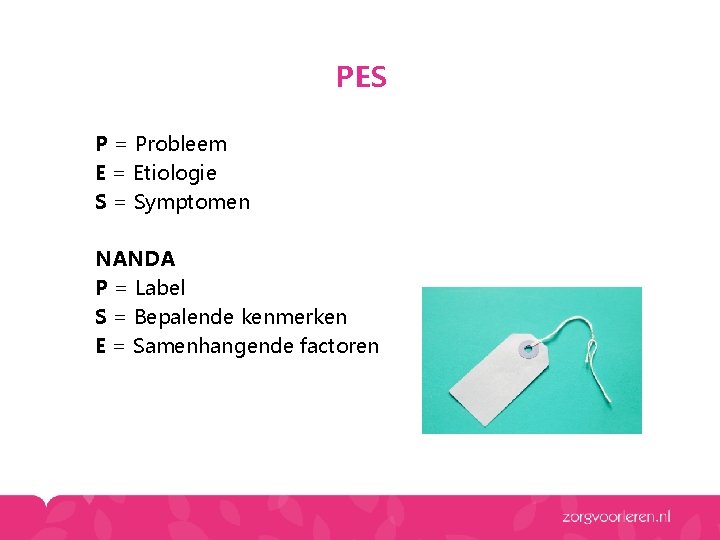 PES P = Probleem E = Etiologie S = Symptomen NANDA P = Label