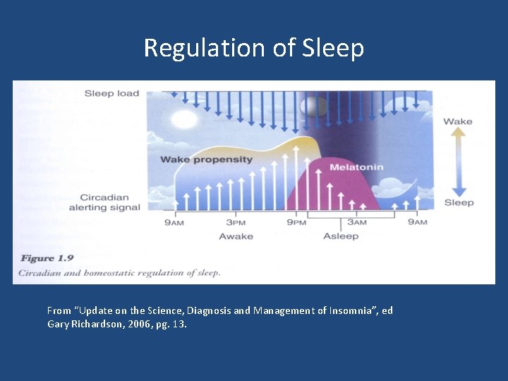 Regulation of Sleep From “Update on the Science, Diagnosis and Management of Insomnia”, ed