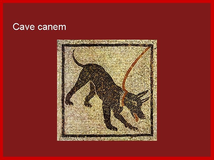 Cave canem 