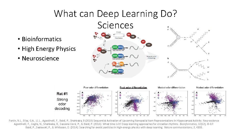 What can Deep Learning Do? Sciences • Bioinformatics • High Energy Physics • Neuroscience What can Deep Learning Do? Sciences • Bioinformatics • High Energy Physics • Neuroscience