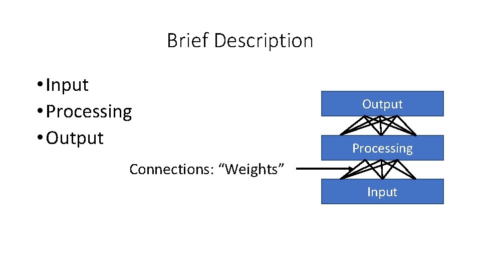 Brief Description • Input • Processing • Output Processing Connections: “Weights” Input Brief Description • Input • Processing • Output Processing Connections: “Weights” Input