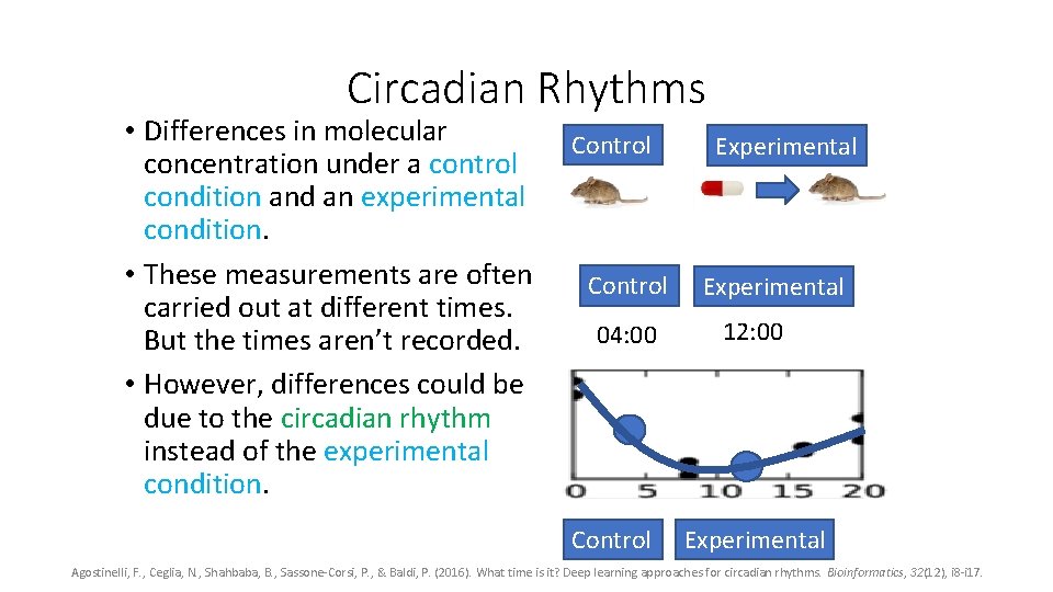 Circadian Rhythms • Differences in molecular concentration under a control condition and an experimental Circadian Rhythms • Differences in molecular concentration under a control condition and an experimental