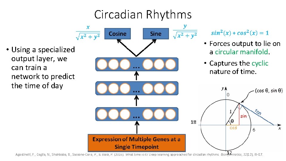 Circadian Rhythms • Forces output to lie on a circular manifold. • Captures the Circadian Rhythms • Forces output to lie on a circular manifold. • Captures the