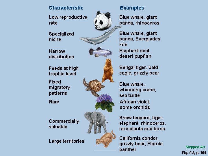 Characteristic Examples Low reproductive rate Blue whale, giant panda, rhinoceros Specialized niche Narrow distribution