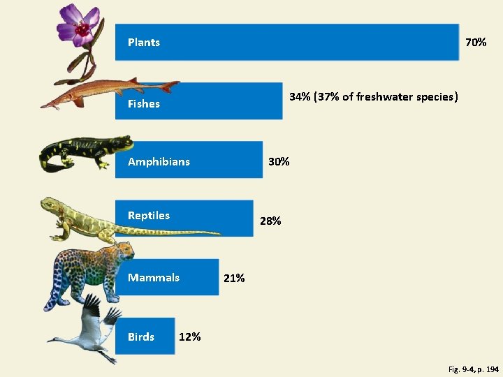 Plants 70% 34% (37% of freshwater species) Fishes Amphibians 30% Reptiles 28% Mammals Birds