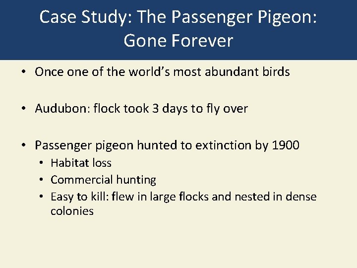 Case Study: The Passenger Pigeon: Gone Forever • Once one of the world’s most