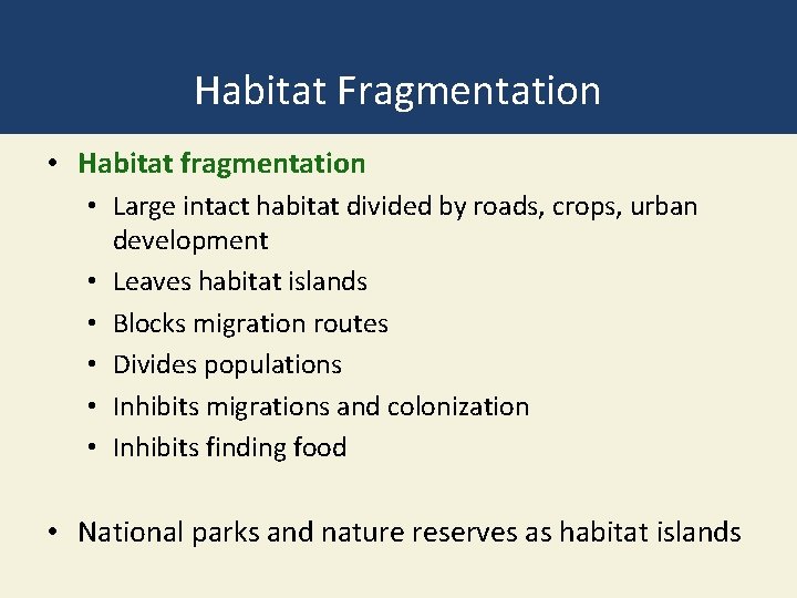 Habitat Fragmentation • Habitat fragmentation • Large intact habitat divided by roads, crops, urban