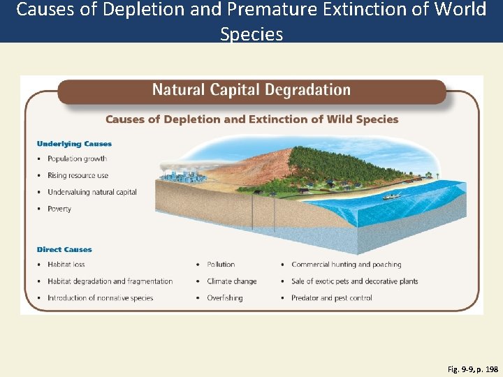 Causes of Depletion and Premature Extinction of World Species Fig. 9 -9, p. 198