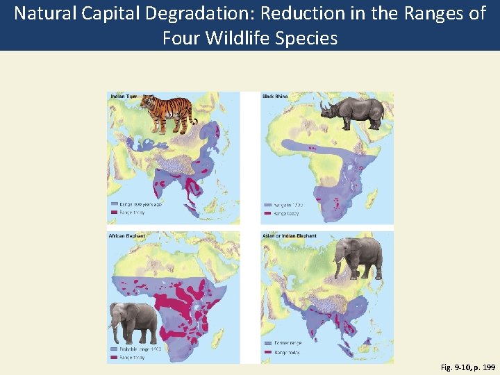 Natural Capital Degradation: Reduction in the Ranges of Four Wildlife Species Fig. 9 -10,