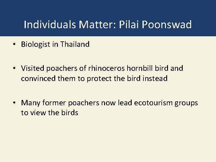 Individuals Matter: Pilai Poonswad • Biologist in Thailand • Visited poachers of rhinoceros hornbill