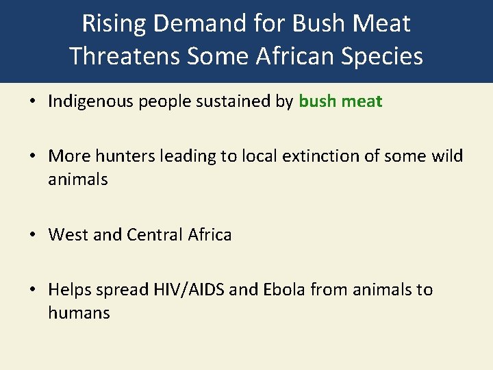 Rising Demand for Bush Meat Threatens Some African Species • Indigenous people sustained by